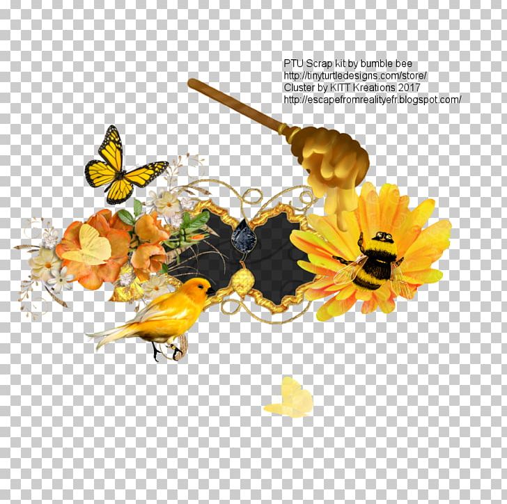 Honey Bee Insect Flower Pollinator PNG, Clipart, Bee, Bumblebee, Butterfly, Calendula, Cut Flowers Free PNG Download