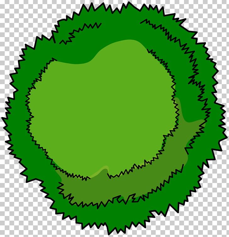 Tree Stock Photography PNG, Clipart, Area, Arecaceae, Circle, Free Content, Grass Free PNG Download
