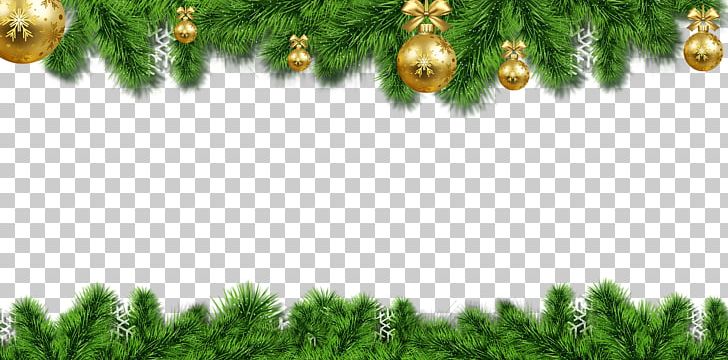 Santa Claus Christmas Ornament Christmas Tree PNG, Clipart, Biome, Branch, Christmas, Christmas And Holiday Season, Christmas Card Free PNG Download