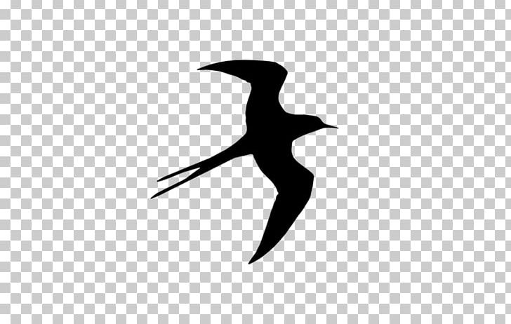Bird Barn Swallow Freee K.K. Beak PNG, Clipart, Animals, Barn Swallow, Beak, Bird, Black And White Free PNG Download