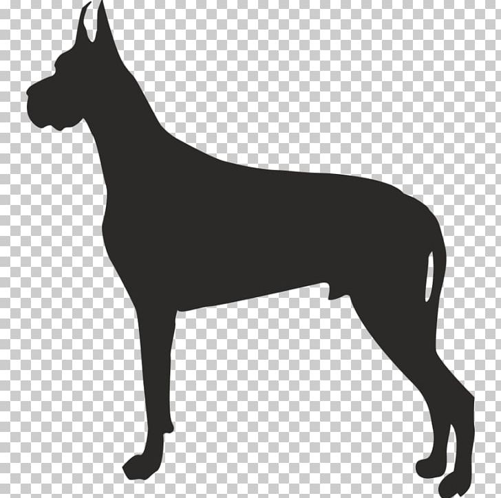 French Bulldog Dalmatian Dog Puppy PNG, Clipart, Ancient Dog Breeds, Animal, Animals, Black, Bulldog Free PNG Download