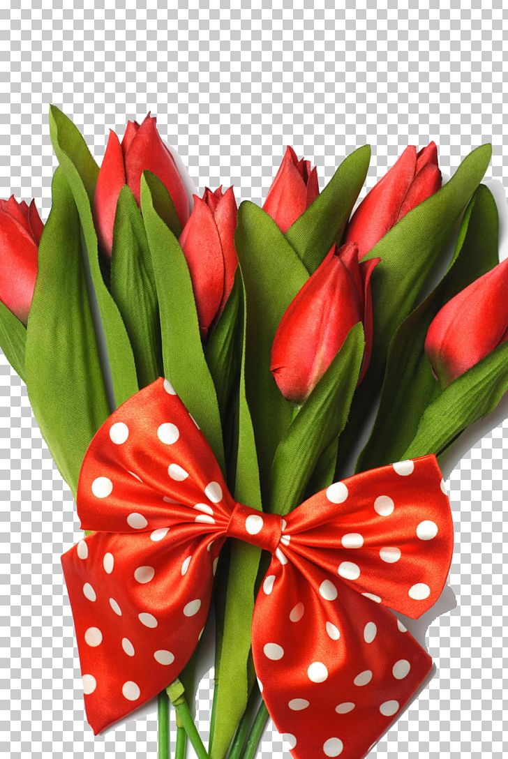 Indira Gandhi Memorial Tulip Garden Flower Bouquet PNG, Clipart, Artificial Flower, Cut Flowers, Display , Flower, Flower Arranging Free PNG Download