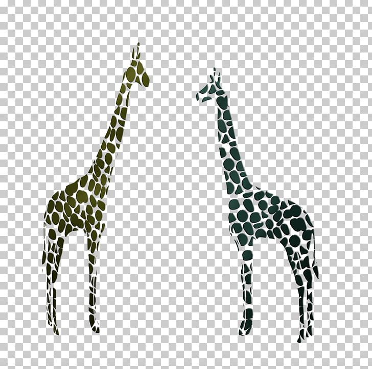 Northern Giraffe PNG, Clipart, Animals, Animation, Black, Black And White, Designer Free PNG Download