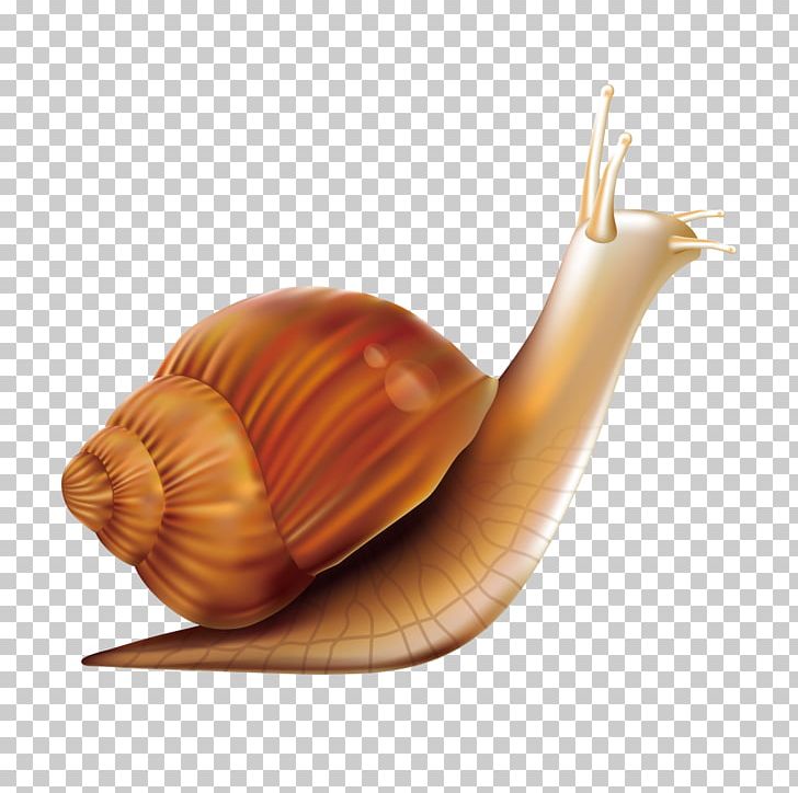 Snail Orthogastropoda PNG, Clipart, Animals, Cartoon, Download, Handpainted Flowers, Happy Birthday Vector Images Free PNG Download