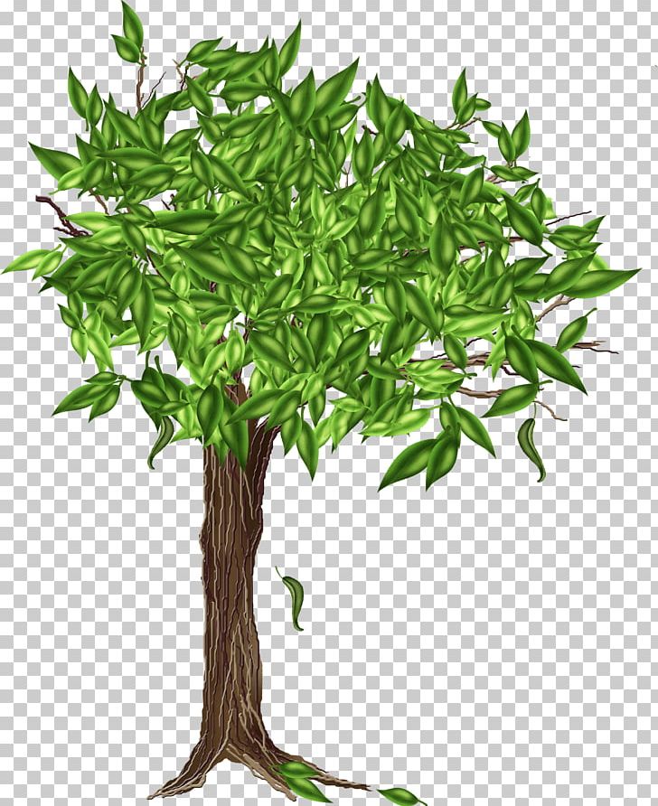 Tree Drawing PNG, Clipart, Branch, Digital Image, Download, Drawing, Encapsulated Postscript Free PNG Download