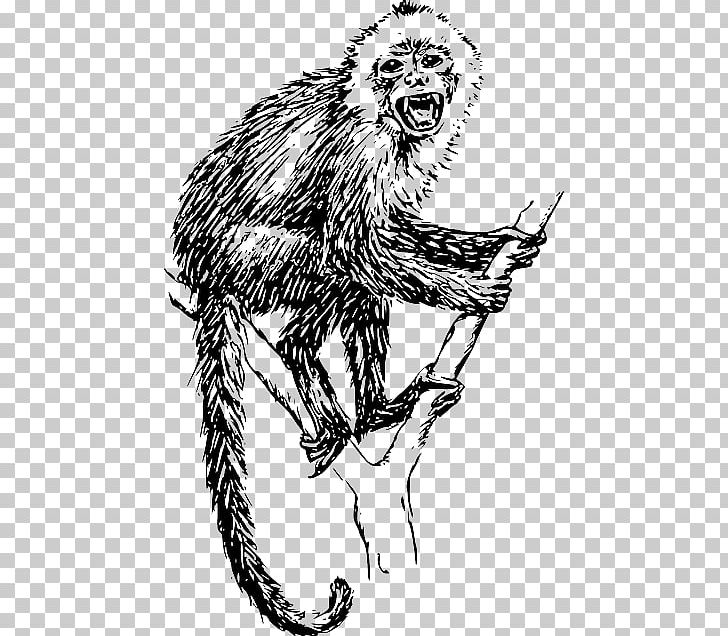 Graphics Ape Drawing PNG, Clipart, Art, Big Cats, Black And White, Carnivoran, Cat Like Mammal Free PNG Download