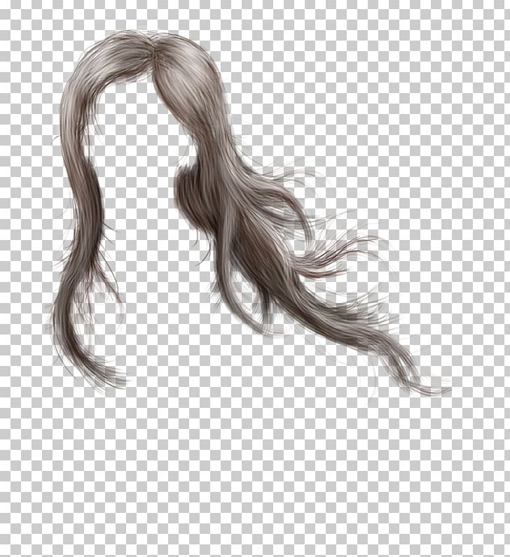 Long Hair Hair Coloring Wig Moustache PNG, Clipart, Black Hair, Brown Hair, Gimp, Hair, Hair Coloring Free PNG Download