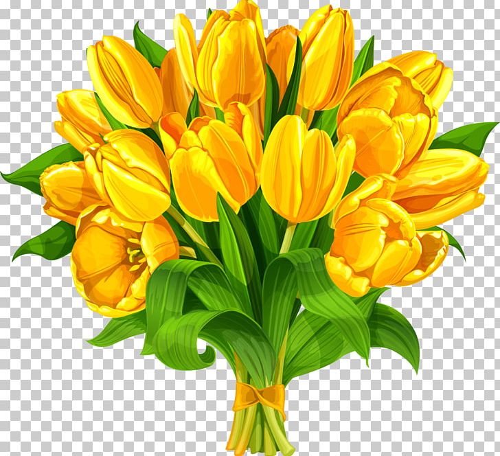 Indira Gandhi Memorial Tulip Garden Flower Bouquet PNG, Clipart, Cut Flowers, Encapsulated Postscript, Floral, Floristry, Flower Free PNG Download