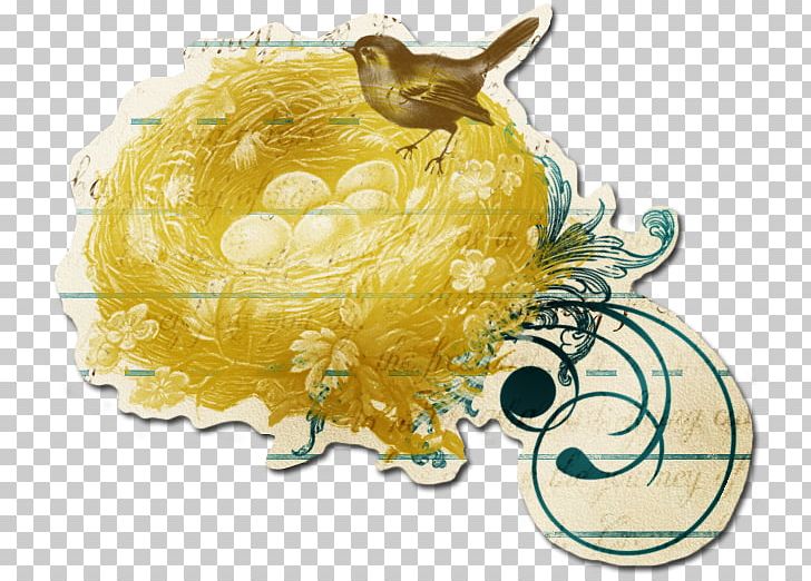 Insect Pollinator Fruit PNG, Clipart, Animals, Bird Nest, Fruit, Insect, Invertebrate Free PNG Download
