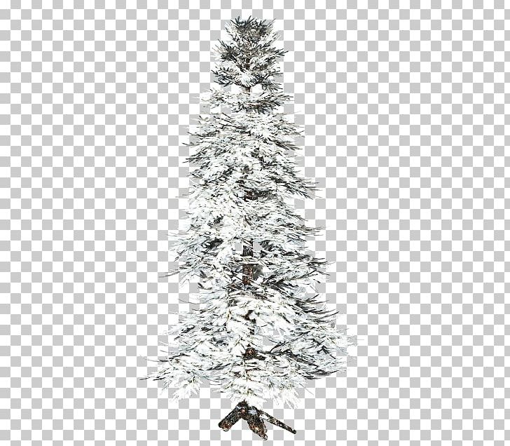 Spruce Diary Blog Tree PNG, Clipart, Art Diary, Babu, Blog, Branch, Christmas Decoration Free PNG Download