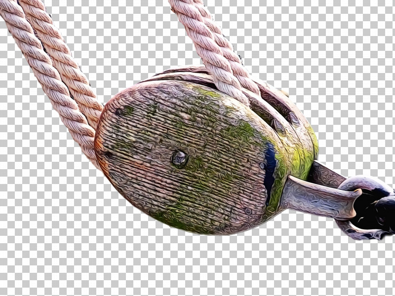 Rope PNG, Clipart, Paint, Rope, Watercolor, Wet Ink Free PNG Download