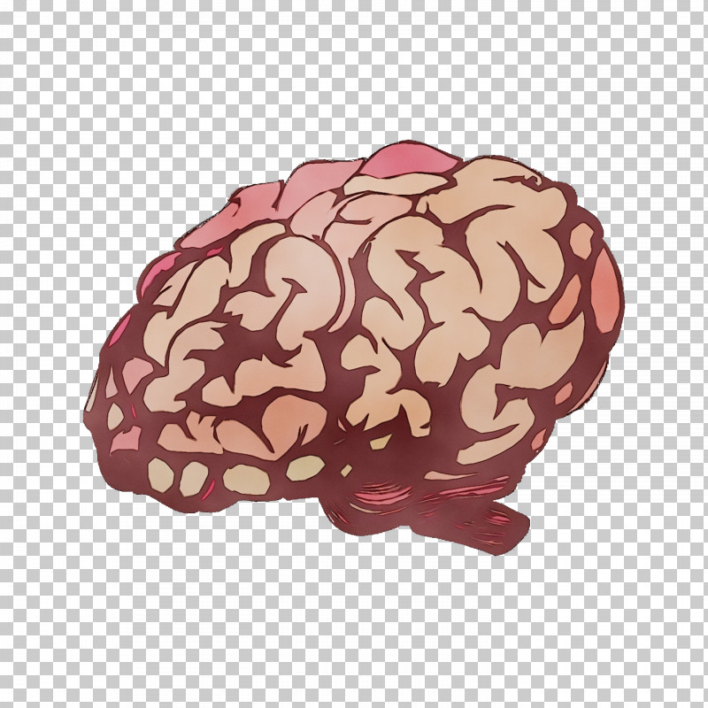 Brain M-brain Maroon Mind PNG, Clipart, Brain, Cartoon, Editing, Maroon, Mbrain Free PNG Download