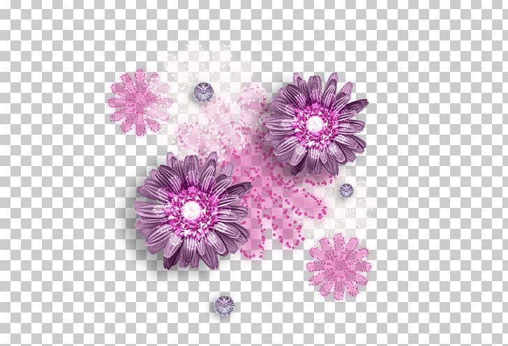 Chrysanthemum Transvaal Daisy Pink M Petal PNG, Clipart, Chrysanthemum, Chrysanths, Daisy Family, Decor, Dekor Free PNG Download