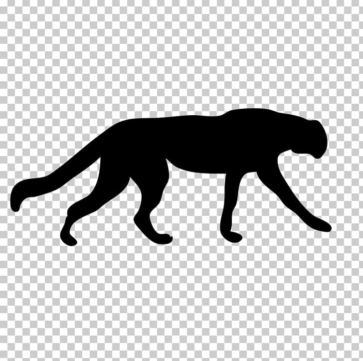 Cougar Panther Cat Leopard Lion PNG, Clipart, Animals, Big Cat, Big Cats, Black, Black And White Free PNG Download