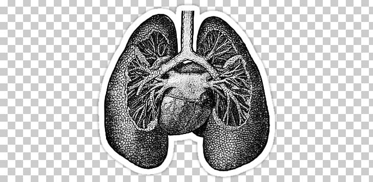 Lung Anatomy Drawing Heart Science PNG, Clipart, Anatomy, Biology, Black And White, Drawing, Hardware Free PNG Download