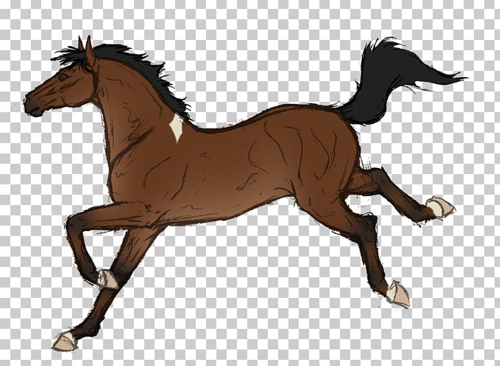 Mustang Foal Stallion Colt Pony PNG, Clipart, Animal Figure, Bridle, Colt, English Riding, Equestrian Free PNG Download