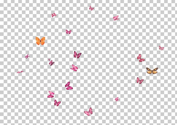 Butterfly Flight Png Clipart Adobe Illustrator Black And White