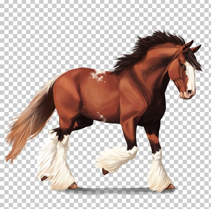 Clydesdale Horse American Quarter Horse Mustang Howrse Budweiser PNG, Clipart, American Quarter Horse, Animal, Animal Figure, Animals, Bridle Free PNG Download
