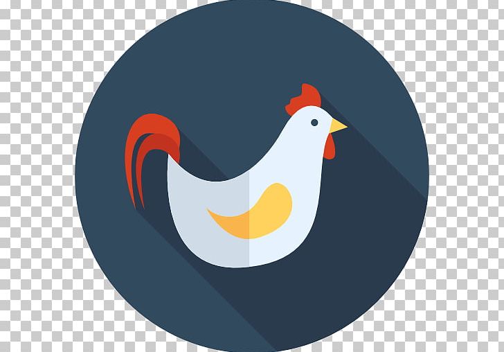 Computer Icons Chicken PNG, Clipart, Animals, Beak, Bird, Chicken, Computer Icons Free PNG Download