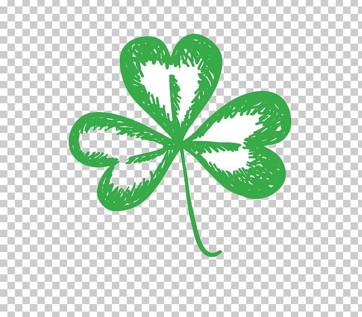 Shamrock Saint Patrick's Day Drawing PNG, Clipart, Clover, Doodle, Drawing, Fourleaf Clover, Green Free PNG Download