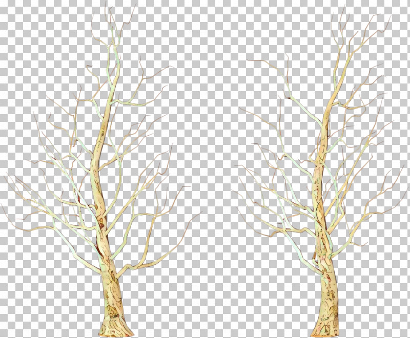 Plane PNG, Clipart, Branch, Canoe Birch, Grass, Plane, Plant Free PNG Download