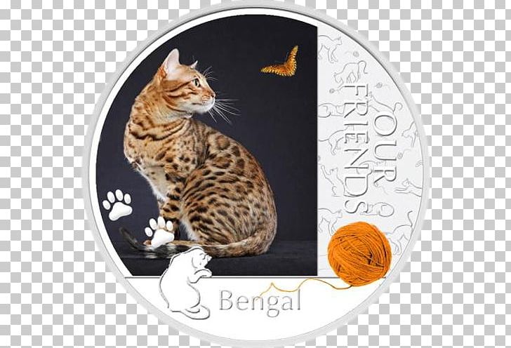 Bengal Cat British Shorthair Kitten Kurilian Bobtail Silver Coin PNG, Clipart, Animals, Base Metal, Bengal, British Shorthair, California Spangled Free PNG Download