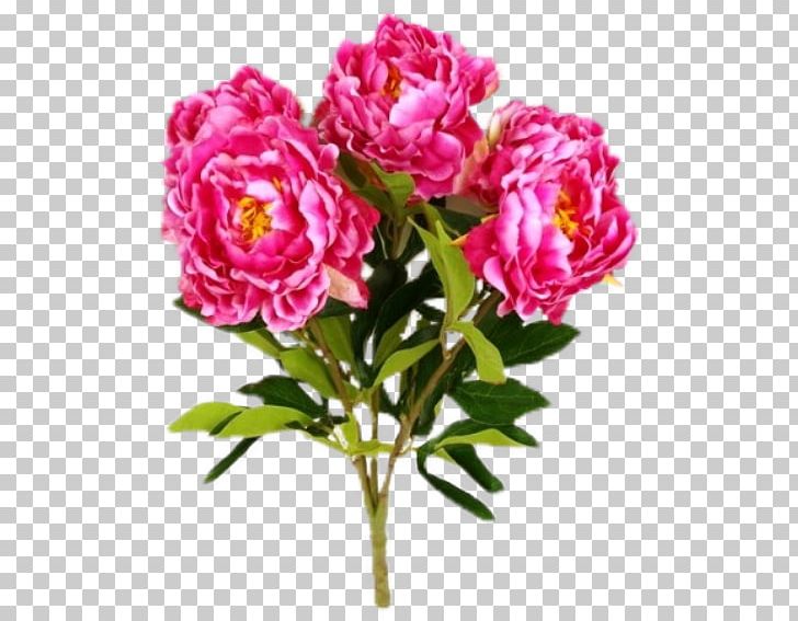 Garden Roses Cabbage Rose Cut Flowers Floribunda PNG, Clipart, Annual Plant, Artificial Flower, Blume, Centerblog, Cut Flowers Free PNG Download