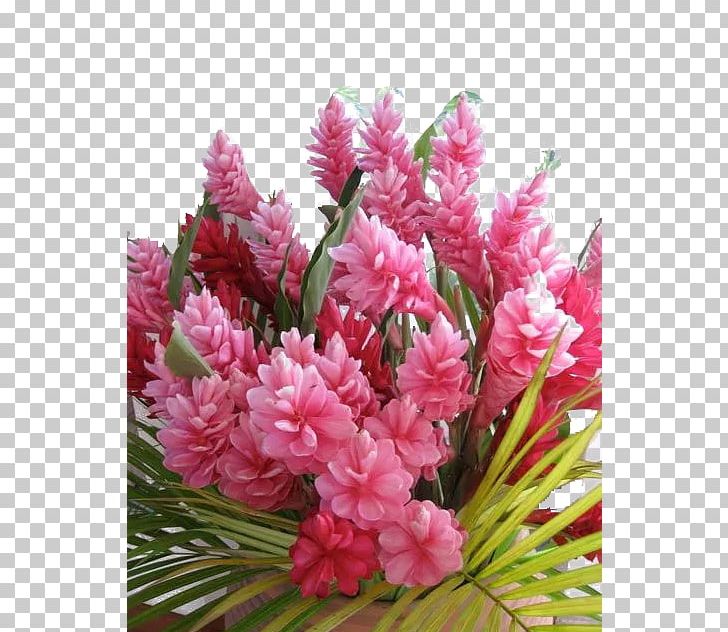 Kauai Flower Floristry Garden Plant PNG, Clipart, Artificial Flower, Botany, Cut Flowers, Enthusiasm, Floral Design Free PNG Download