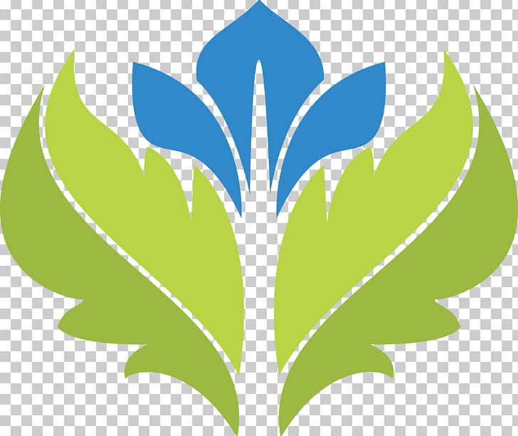 Leaf Petal Symbol Plant Stem PNG, Clipart, Branch, Clothing, Grass, Green, Leaf Free PNG Download