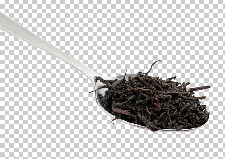 Nilgiri Tea Da Hong Pao Tea Plant PNG, Clipart, Assam Tea, Ceylon Tea, Da Hong Pao, Dianhong, Earl Grey Tea Free PNG Download