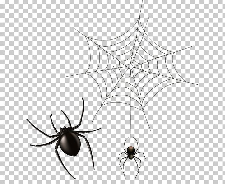 Spider Web PNG, Clipart, Arachnid, Arthropod, Black And White, Cobweb, Computer Icons Free PNG Download