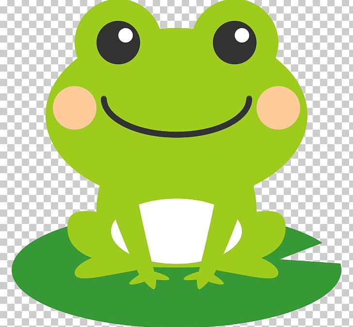 Frog Photography グーネット PNG, Clipart, Amphibian, Amphibians, Animals, Bhekasana, Book Illustration Free PNG Download