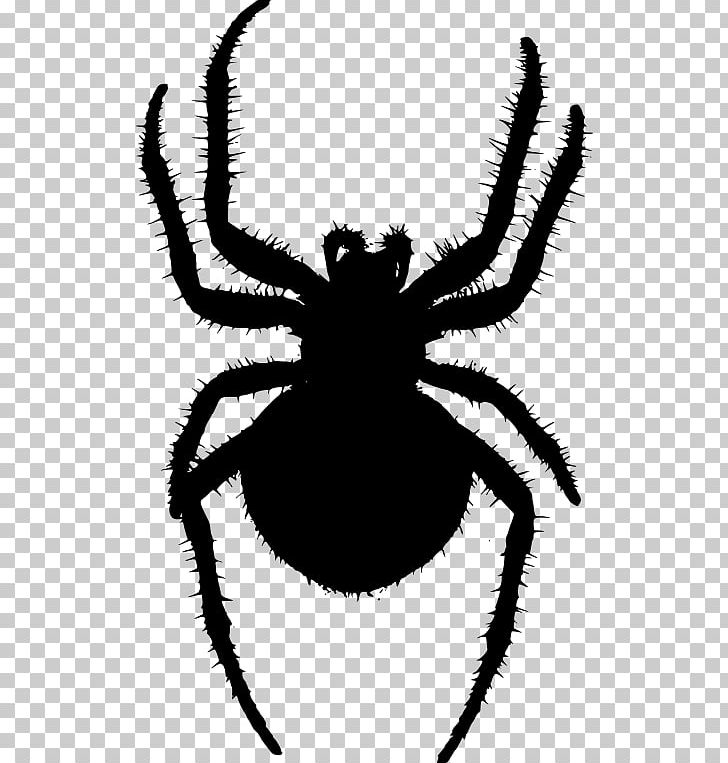 Angulate Orbweavers Spider Web PNG, Clipart, Angulate Orbweavers, Arachnid, Araneus, Arthropod, Black And White Free PNG Download