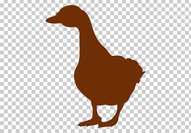 Duck Goose Silhouette Graphics PNG, Clipart, Animals, Beak, Bird, Canada Goose, Chicken Free PNG Download