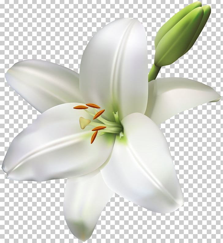 Industry Service Floristry Product Manufacturing PNG, Clipart, Clipart, Cut Flowers, Floral Design, Floristry, Flower Free PNG Download