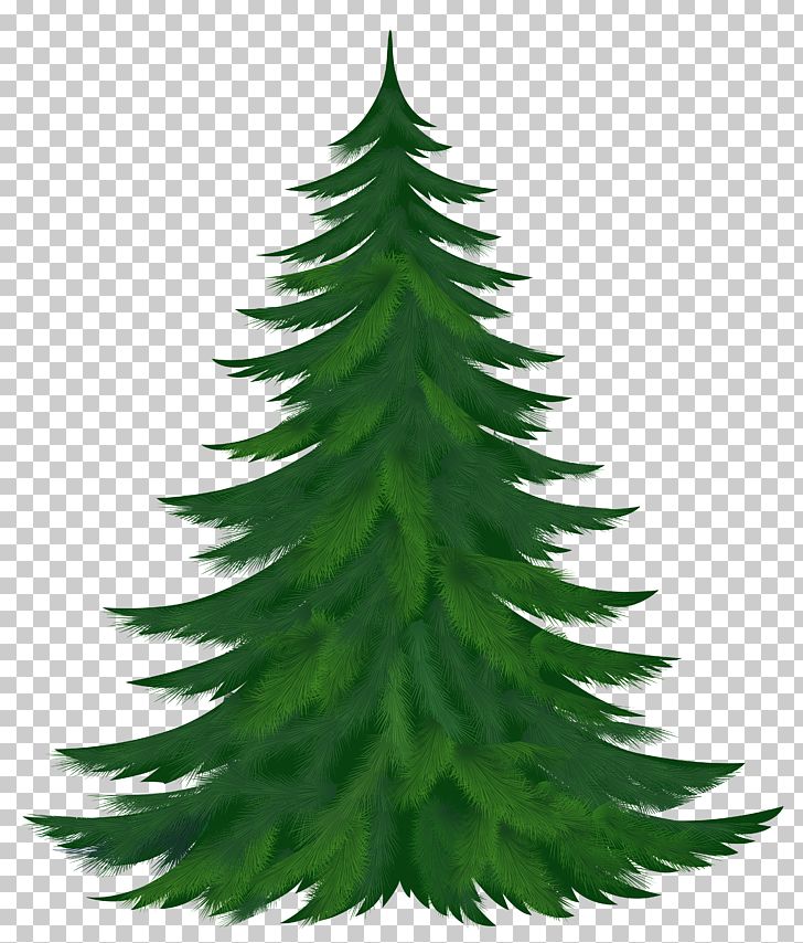 Pine Tree PNG, Clipart, Blog, Christmas, Christmas Decoration, Christmas Ornament, Christmas Tree Free PNG Download