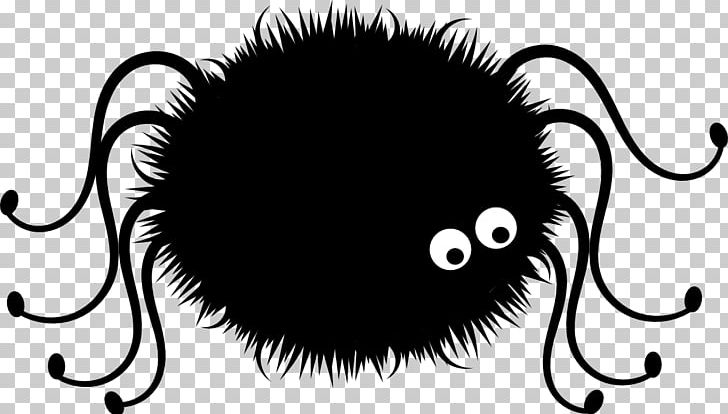 Spider PNG, Clipart, Animals, Black And White, Blog, Carnivoran, Cat Free PNG Download