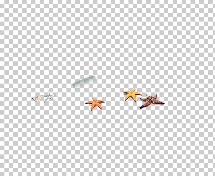 Starfish Euclidean Icon PNG, Clipart, Adobe Illustrator, Animals, Beautiful Starfish, Cartoon Starfish, Download Free PNG Download