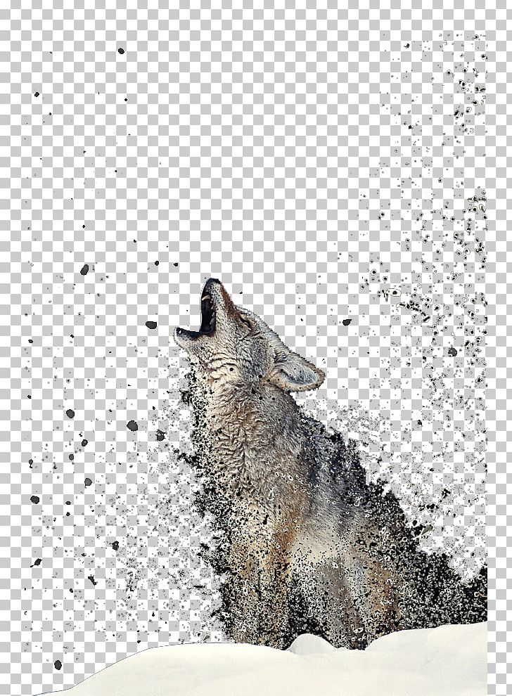 Wolf Totem Gray Wolf Coyote T-shirt PNG, Clipart, African Wild Dog, Aliexpress, Angry Wolf Face, Animal, Animals Free PNG Download
