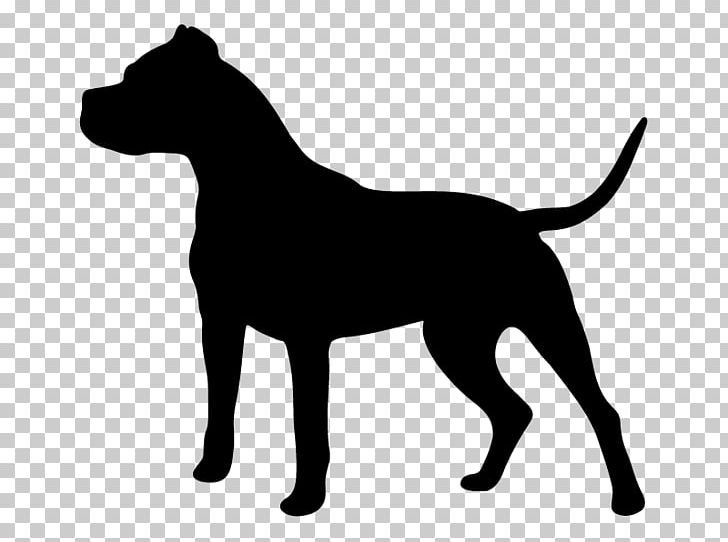 Dogo Argentino South Shore K9 Academy Zazzle Dog Training PNG, Clipart, Black, Black And White, Carnivoran, Decal, Dog Free PNG Download