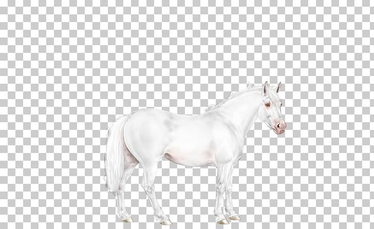 Mustang Stallion Mare Bridle Unicorn PNG, Clipart, Animal, Bridle, Fictional Character, Halter, Horse Free PNG Download
