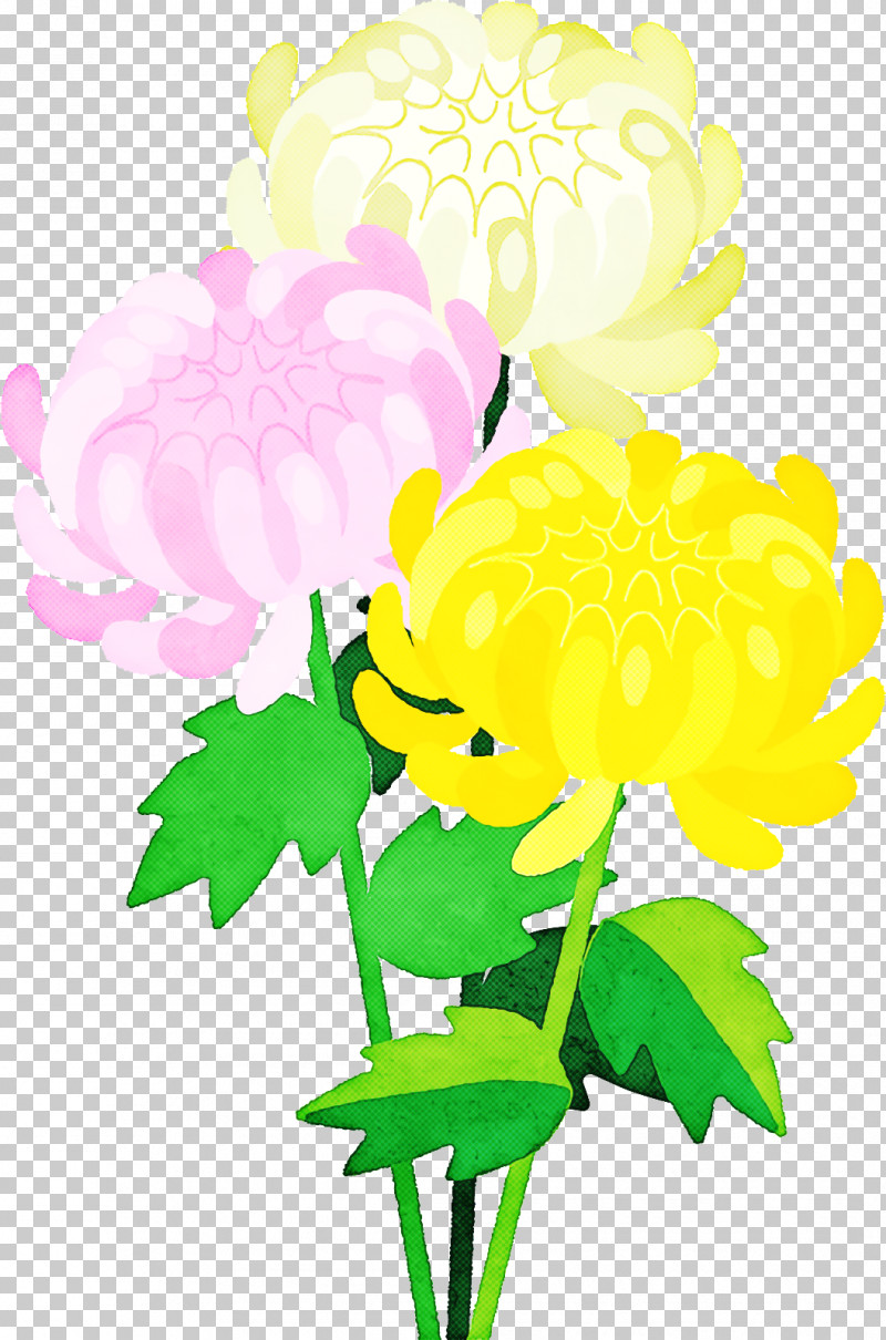 Floral Design PNG, Clipart, Carnation, Chrysanthemum, Cut Flowers, Dahlia, Floral Design Free PNG Download