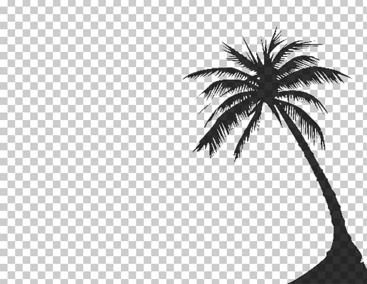 Arecaceae Tree Silhouette PNG, Clipart, Arecaceae, Arecales, Black And White, Borassus Flabellifer, Branch Free PNG Download