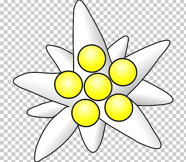 Drawing PNG, Clipart, Art, Artwork, Black And White, Computer Icons, Cut Flowers Free PNG Download