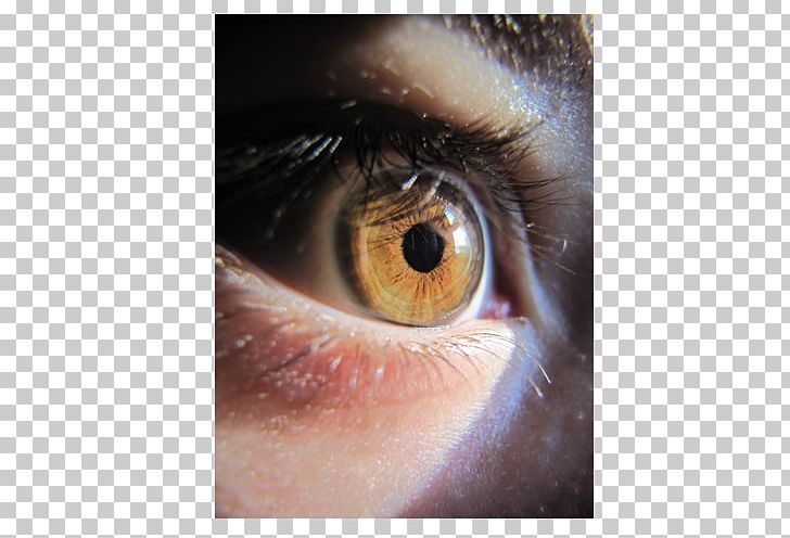 Light Human Eye Iris Iridology PNG, Clipart, Anime Eyes, Blue Eyes, Bright, Bright Light Effect, Brightness Free PNG Download