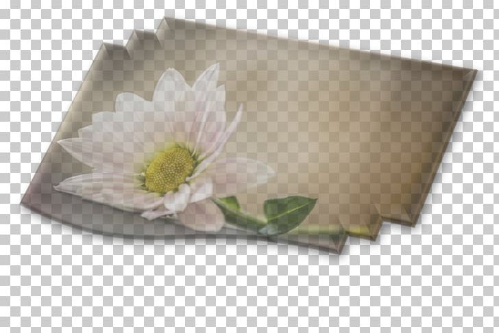 Rectangle PNG, Clipart, Flower, Mes Rafsanjan Fc, Others, Petal, Rectangle Free PNG Download