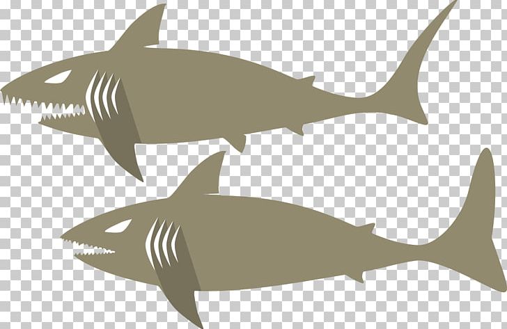 Squaliformes Fish Requiem Shark PNG, Clipart, Animal, Animals, Carcharhinus Amblyrhynchos, Cartilage, Cartilaginous Fish Free PNG Download
