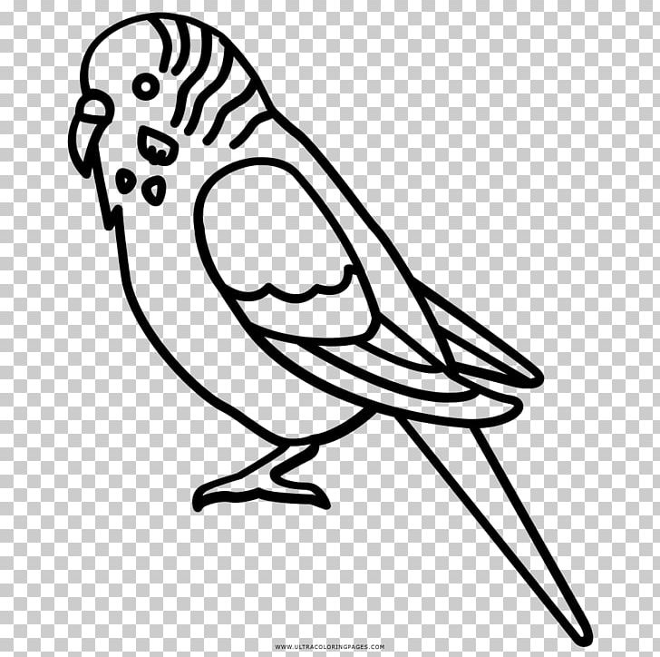 Budgerigar Bird Parakeet Parrot PNG, Clipart, Animals, Art, Artwork, Aviary, Beak Free PNG Download