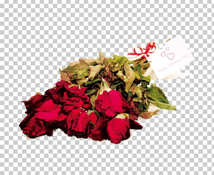 Garden Roses Wilting 69 Ways To Get A Job In Advertising Cut Flowers PNG, Clipart, Australia, Brand, Cut Flowers, Floral Design, Floristry Free PNG Download