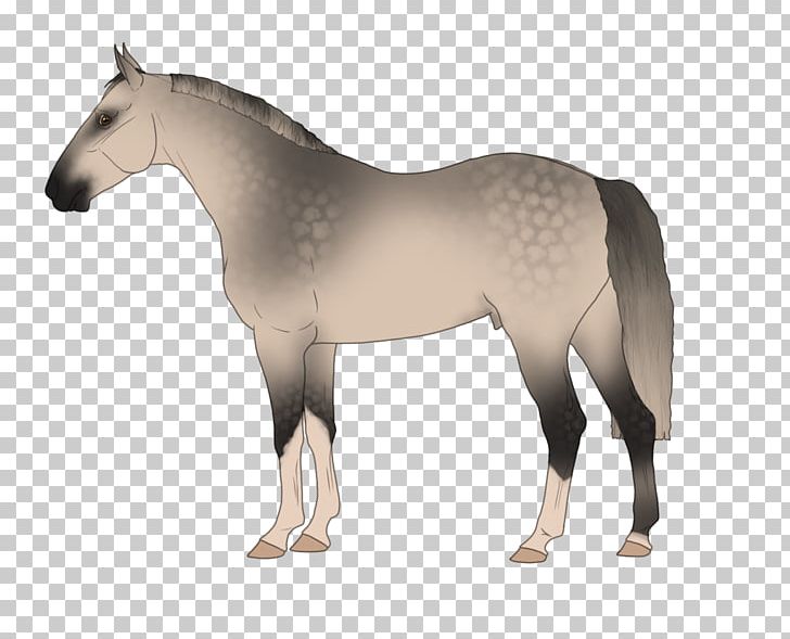 Mustang Stallion Rein Horse Harnesses Halter PNG, Clipart,  Free PNG Download